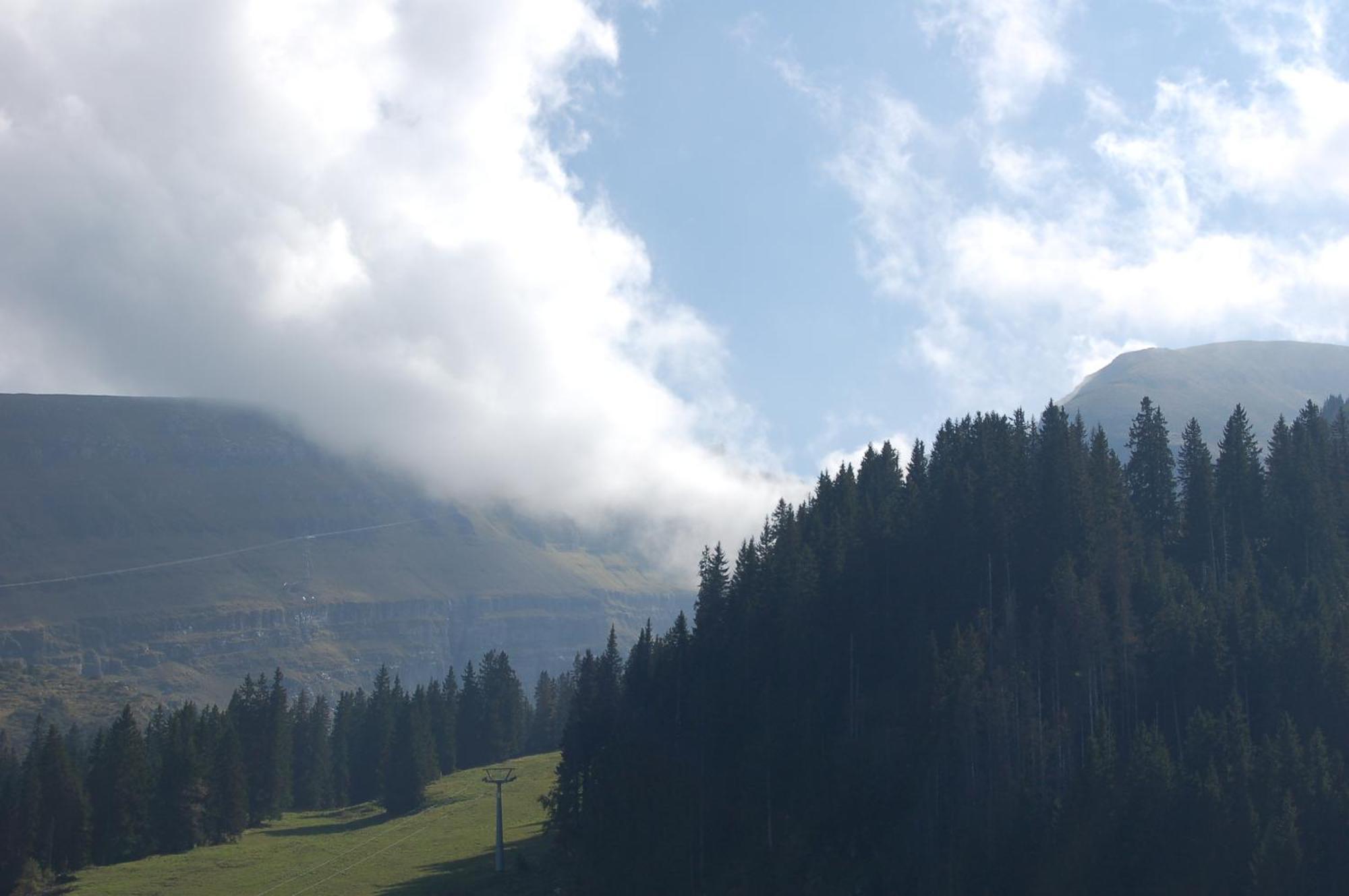 Gasthaus Schaefli Alt St. Johann Exteriér fotografie