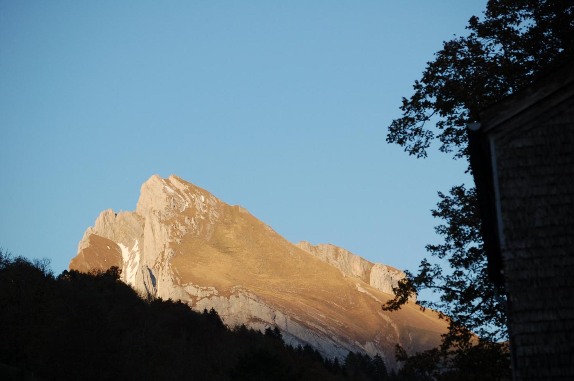 Gasthaus Schaefli Alt St. Johann Exteriér fotografie